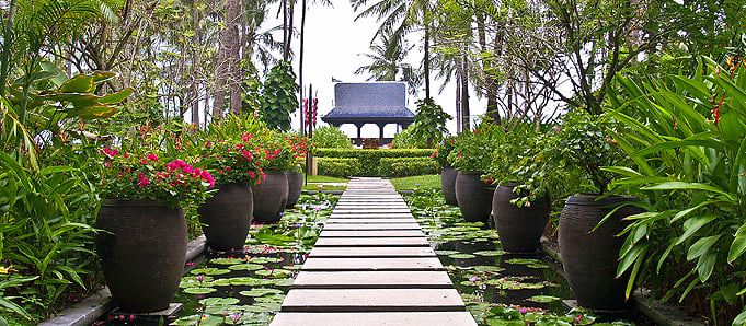 An image of a beautiful garden in Koh Samui